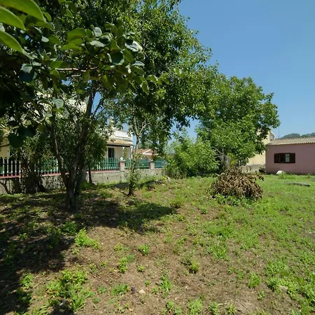 Sam's House